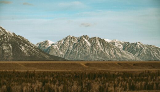 AppSheetでできること